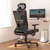 Dripex Ergonomic Office Chair B0C6LWSFXD