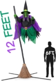 $108 : 12 Ft Animated Hovering Witch Animatronics
